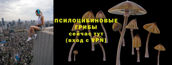 a pvp Абинск